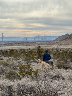 Vegas K9 Adventures