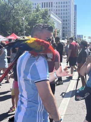 4-year-old, thirsty parrot!