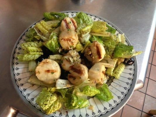 Grilled Scallop Salad