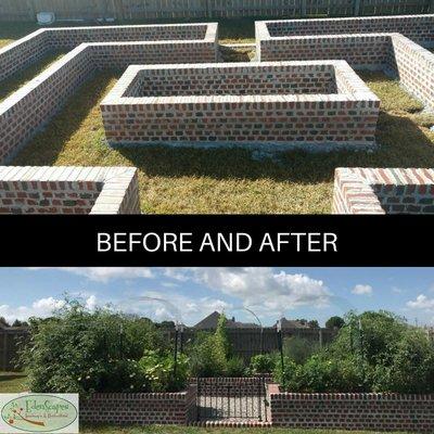 Before and After of brick raised beds