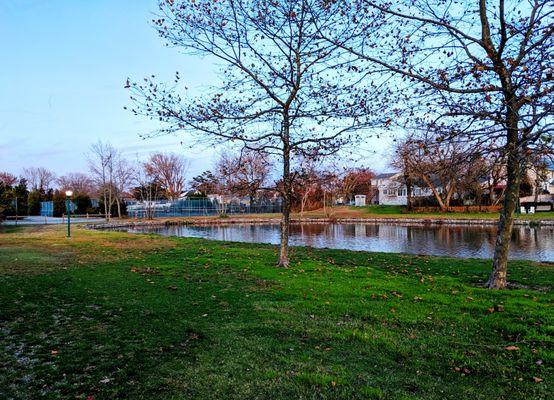 Kiwanis Park -- Pond