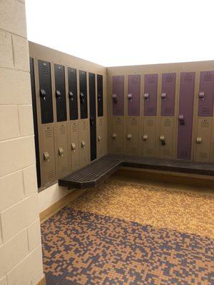 Locker rooms are padlocked and they charge a little for padlocks.