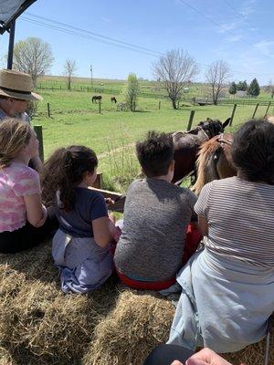 Our kids driving the hay ride led by the mules.