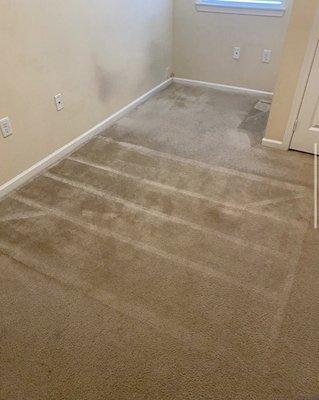 Dirty walls and carpet