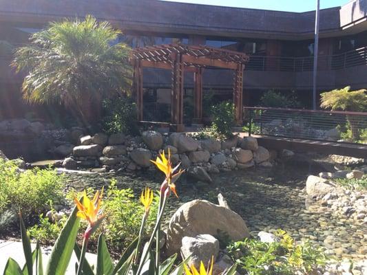 Pretty sweet little courtyard/garden with flowing water