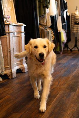 When you shop at Whiskey Rose you will often be greeted by Tilly, our mascot and therapy dog. Pet therapy included with your visit.