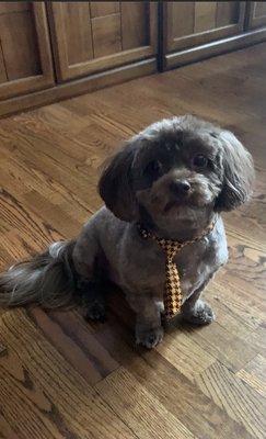 My handsome little Man.. even surprised me with the cute tie