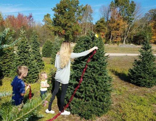 Dressing our tree