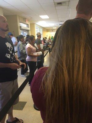 The common situation at the DMV