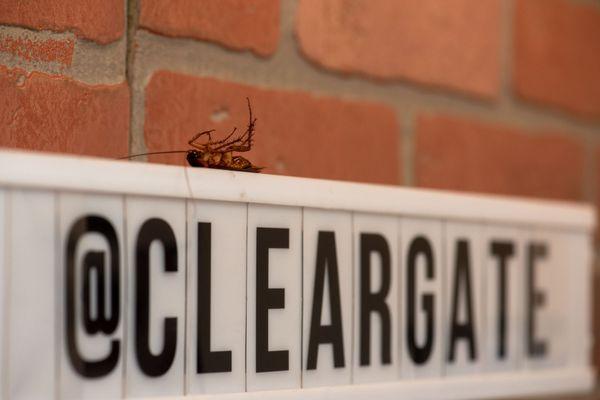 Cleargate Pest Defense