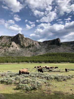 Yellowstone Historic Center