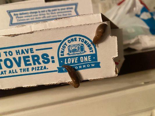 Snails on the pizza box from being left on the door steps instead of handing the pizza to my daughter.