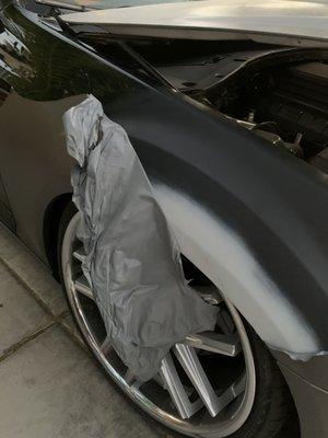 Unpainted fender