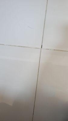 Tile grout repair and color seal - before