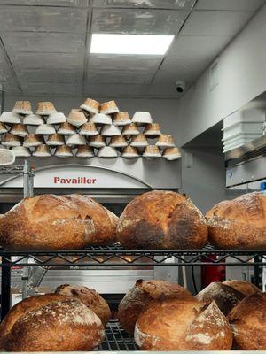 Loaves from heaven.