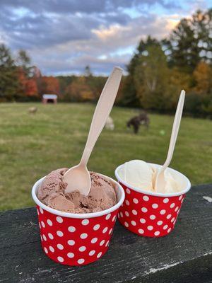 Sanctuary Dairy Farm Ice Cream