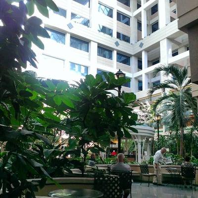 Atrium inside the hospital gives it a hotel feel..loved it..