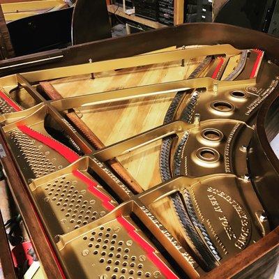 1924 Steinway L - plate rebronzed and dressed with stringing felt.