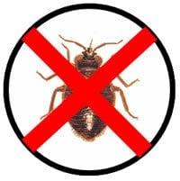 New York Bed Bug Exterminators