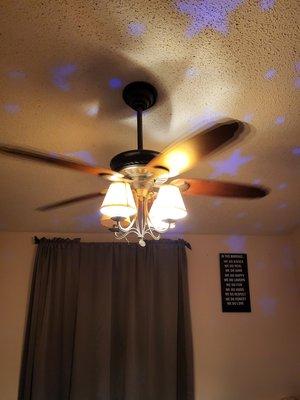 Install ceiling fans and led can lights