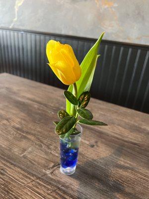 Real tulip at the table