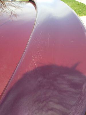 Scratches....this kind all over my car.