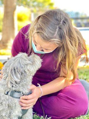 Veterinary Acupuncture Services, Allie Turner DVM, CVA, CCRT