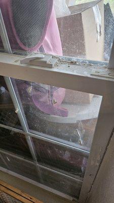 Dust and plaster all over windows. That's some of our belongings on the other side of window, still stacked on our back porch.