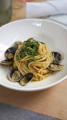 Weekly Special (every Tuesday) spaghetti with clams alle vongole