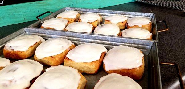 Fresh Cinnamon Rolls