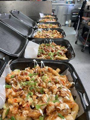 The loaded fries