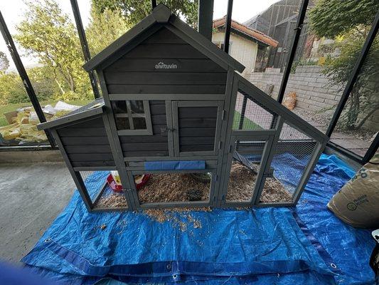 Got our newbies into their temporary coop until they join their eight hen-mates next month.