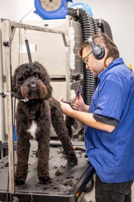 Our groomers are the best in the district! Kegan here specializes in Doodle cuts - fabulous every time.