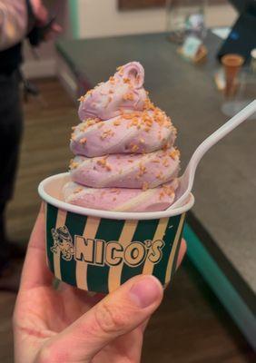 Blackberry   Ice Cream with coconut flakes in a cup