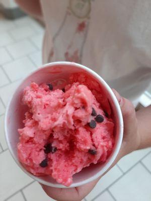 Watermelon sherbet with mini chocolate chips