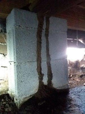 Termite infestation. Thousands of dollars worth of repairs due to damage in floor joist.