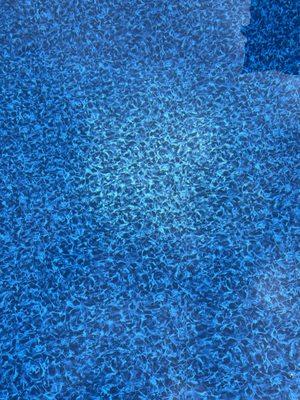 Bleached liner from Acme Pool & Spa Company winterizing our pool. They refuse the replace it.