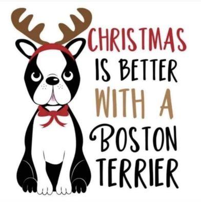 Happy Holidays from Alabama Boston Terrier Rescue!