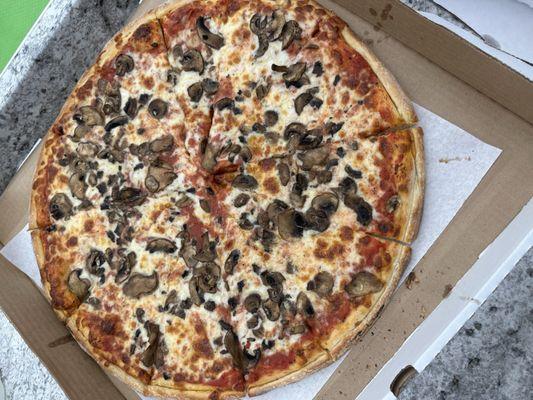 Xl mushrooms pizza