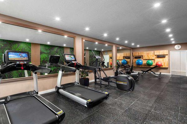 Health club  fitness center  gym