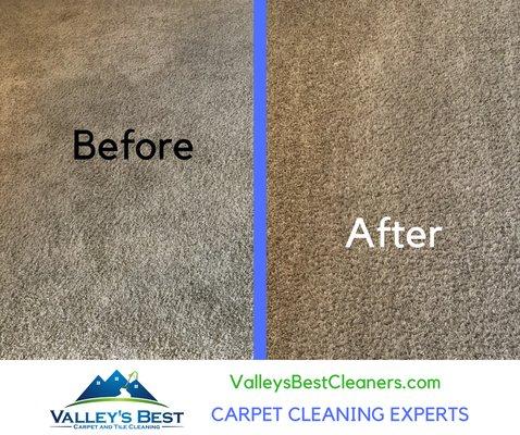 Carpet Cleaning Experts!