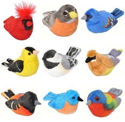 Audubon bird plushies sold here, plus many more not pictured