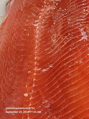 Pacific CoHo Salmon Fillet, 9-2024