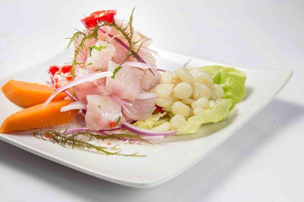 Ceviche Fish