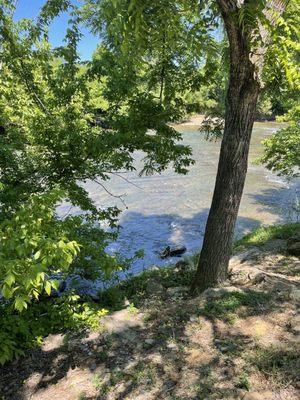 Campsite backyard