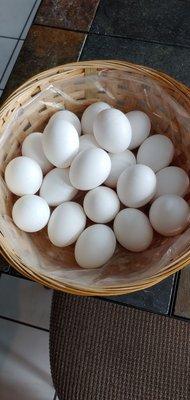 Eggs In A Basket