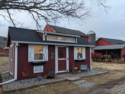 The Cow's Coop farm stand