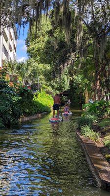 Winter Park Fern canal.