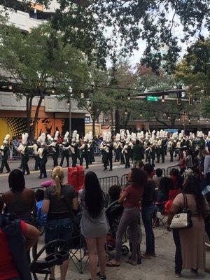 USF band