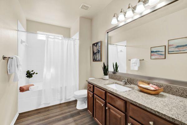 Bathroom at Villas of Vista Del Norte Apartments